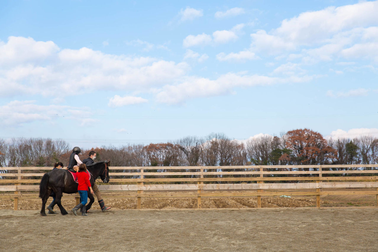 Horse Therapy